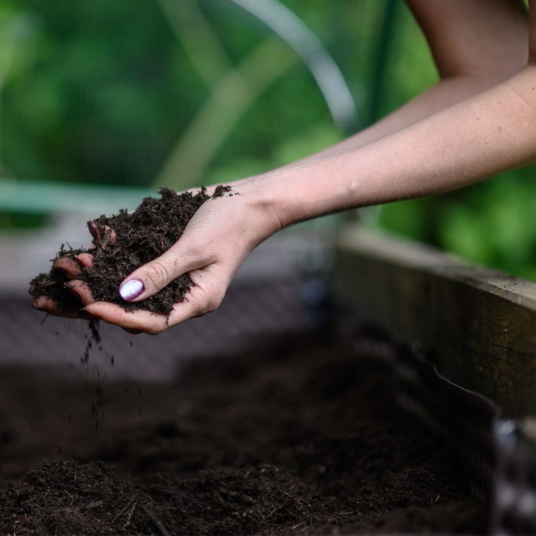 how to fertilize raised beds
