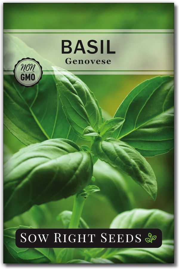 grow basil with tomato plants