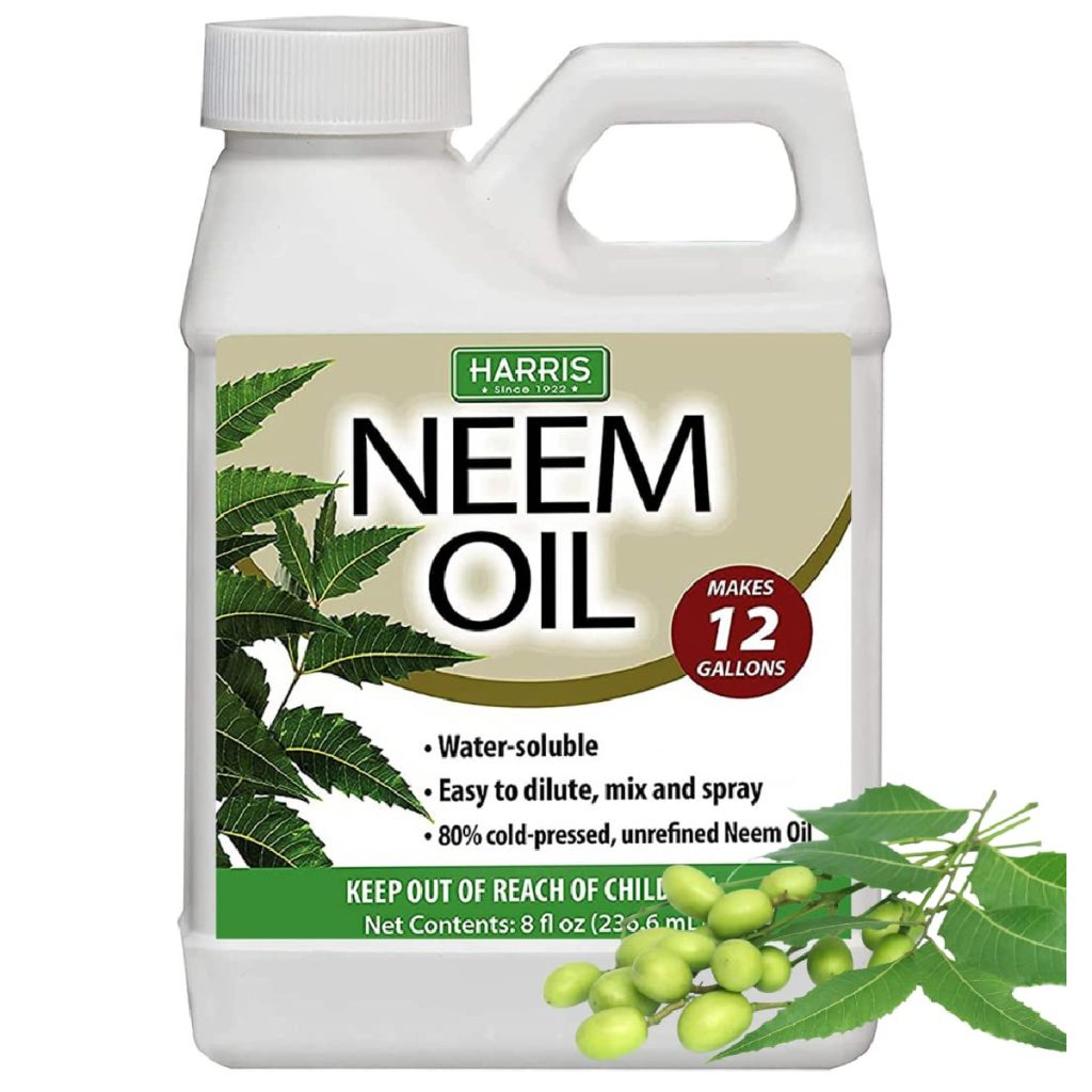 ground mole stopping - neem oil