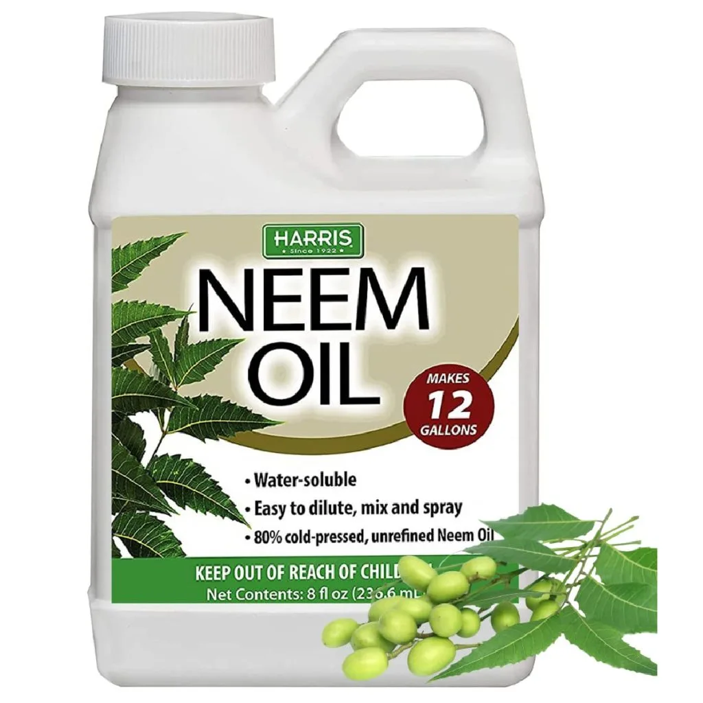 neem oil for pests