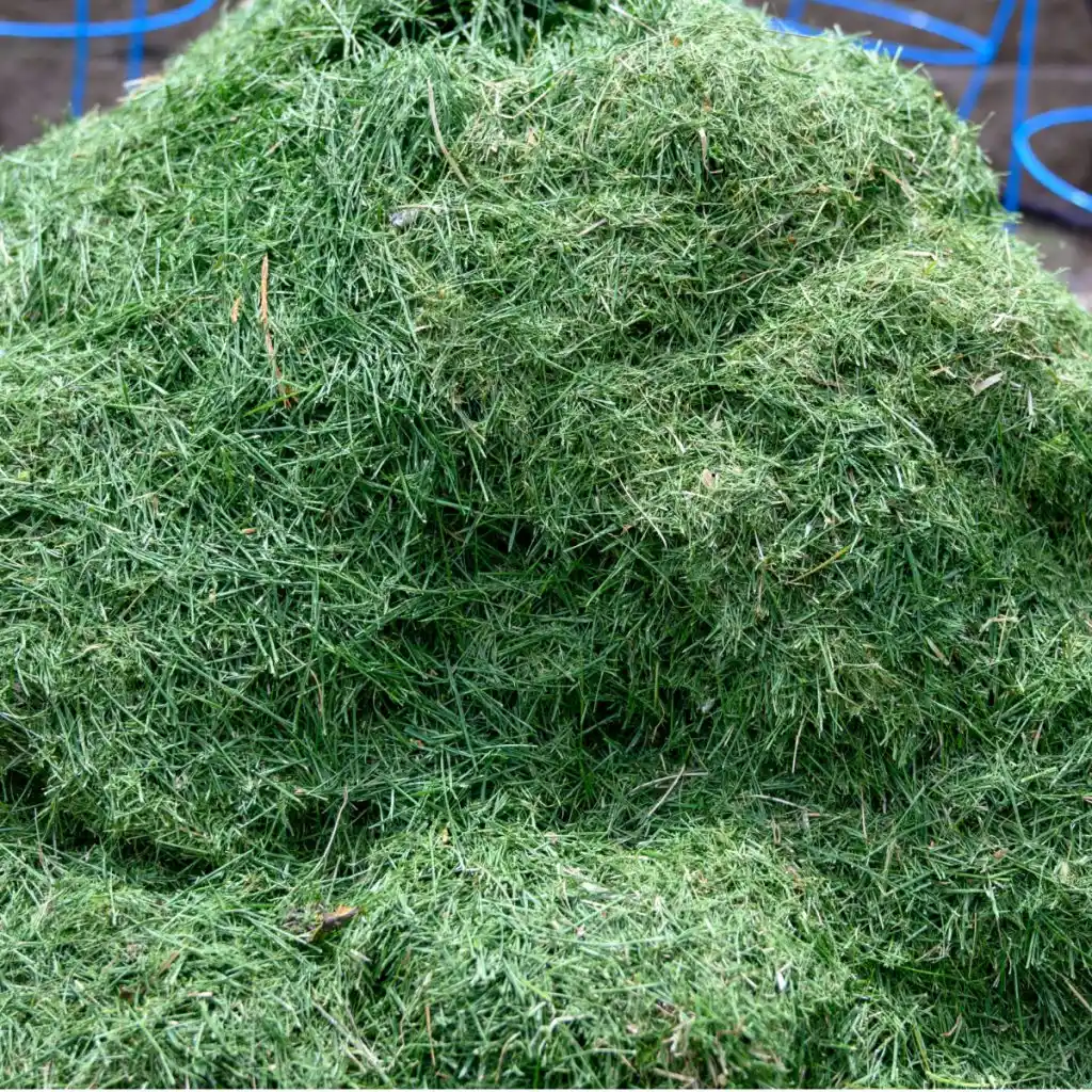 use grass clippings