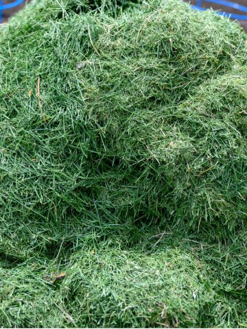 use grass clippings