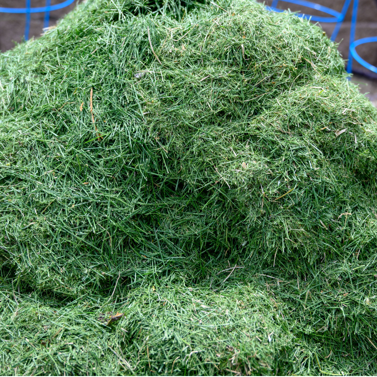 use grass clippings