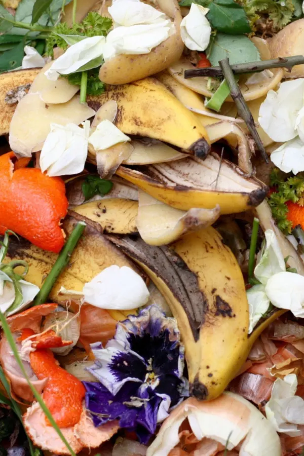 vegetable scraps for compost pile in the summer