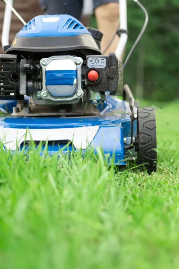 raise the mower - how to kill crabgrass