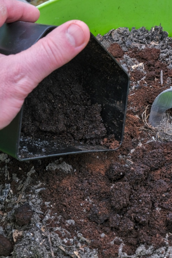 improving container soil