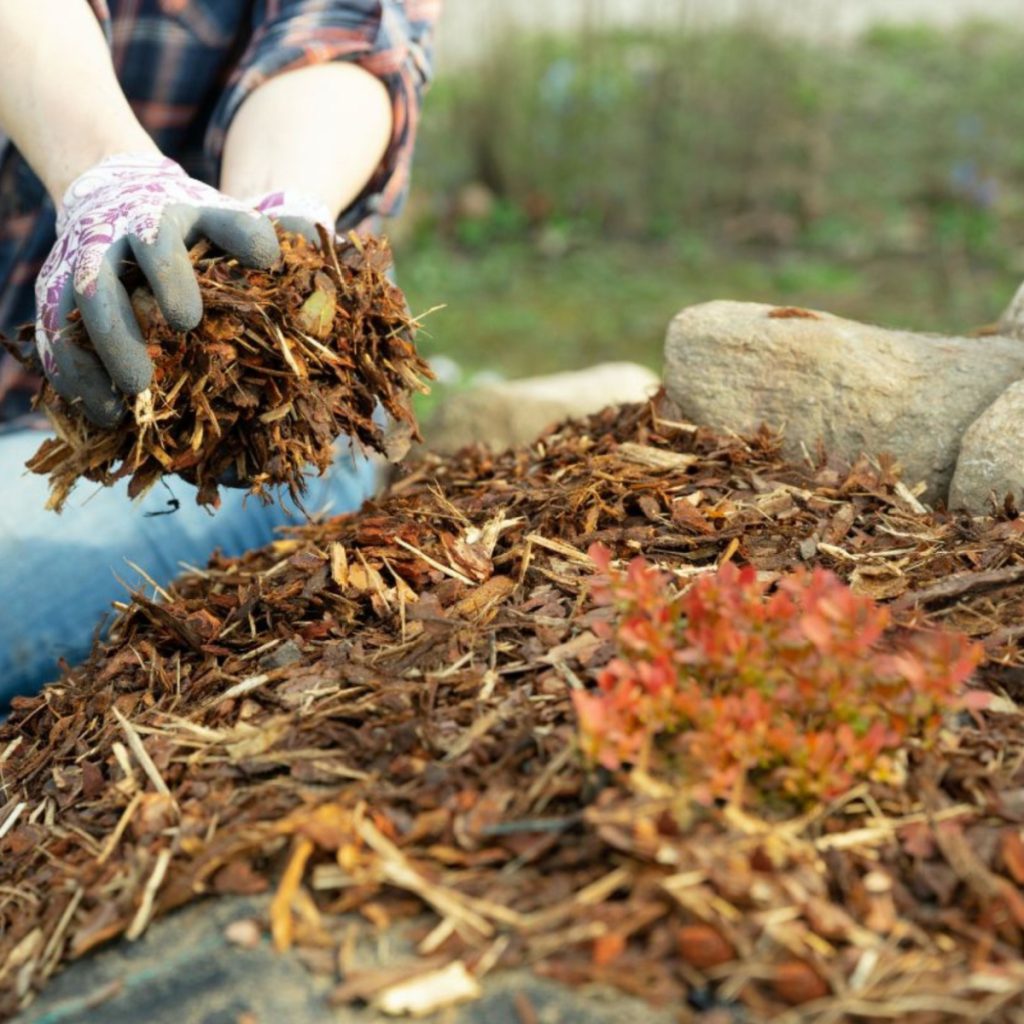 mulch flowerbeds in the fall