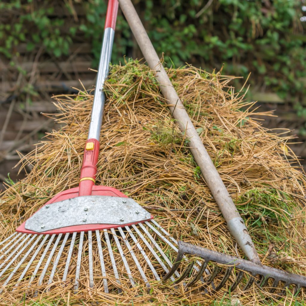 pine needles in gardens and flowerbeds