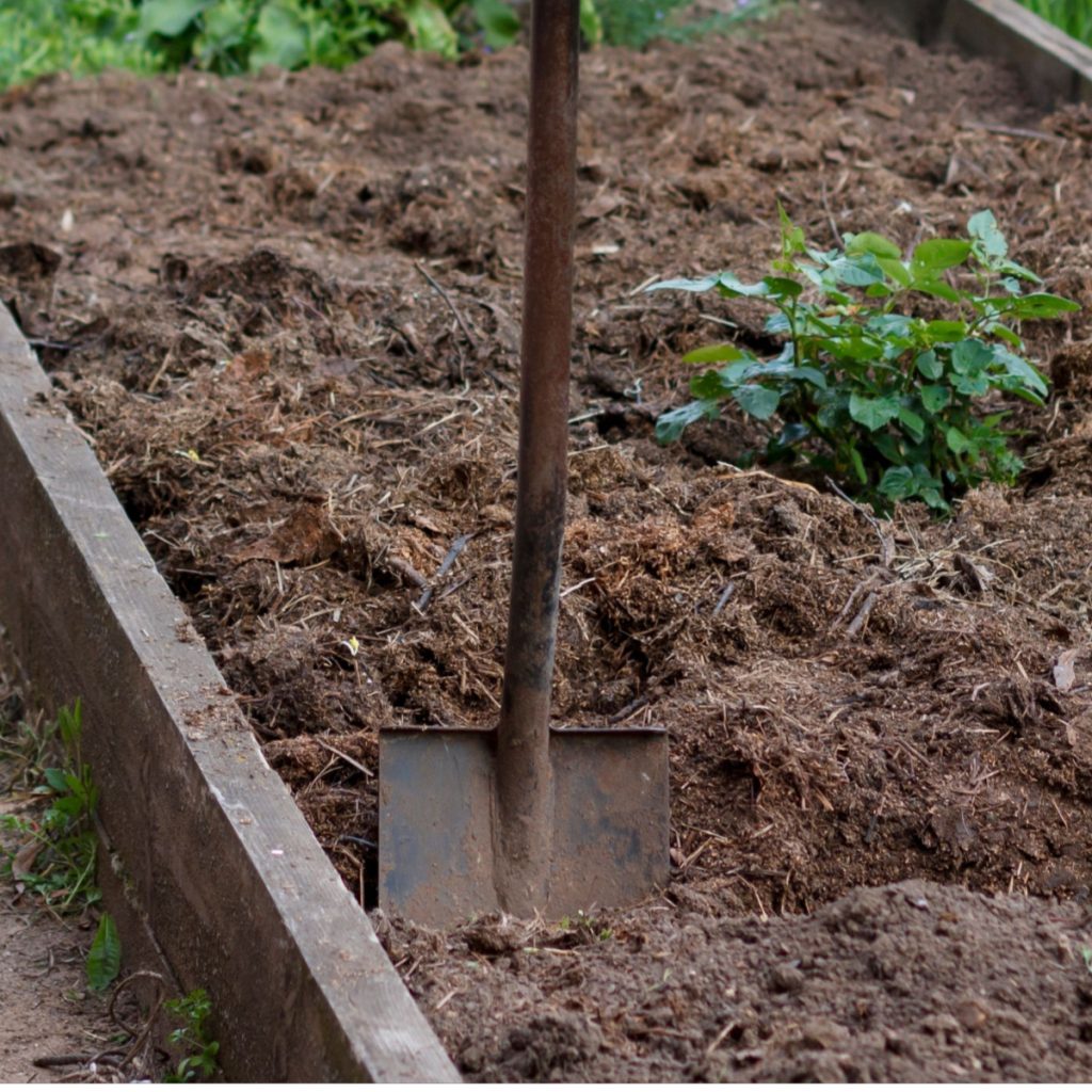 how to rejuvenate raised bed soil