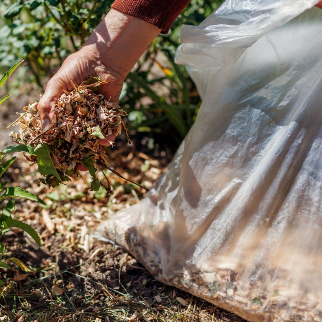 use leaves in flowerbeds and gardens