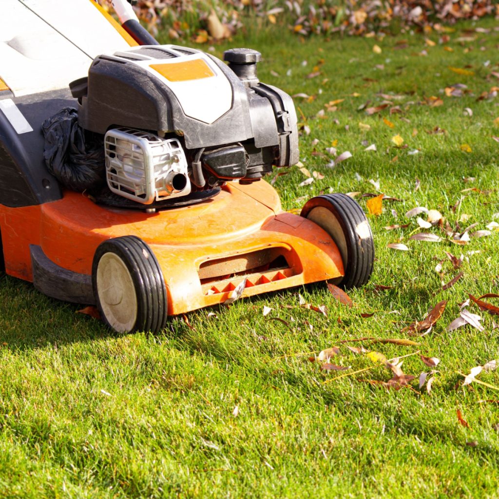 mow lawn for the last time before winter