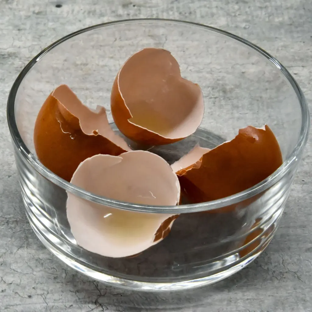 save and store egg shells