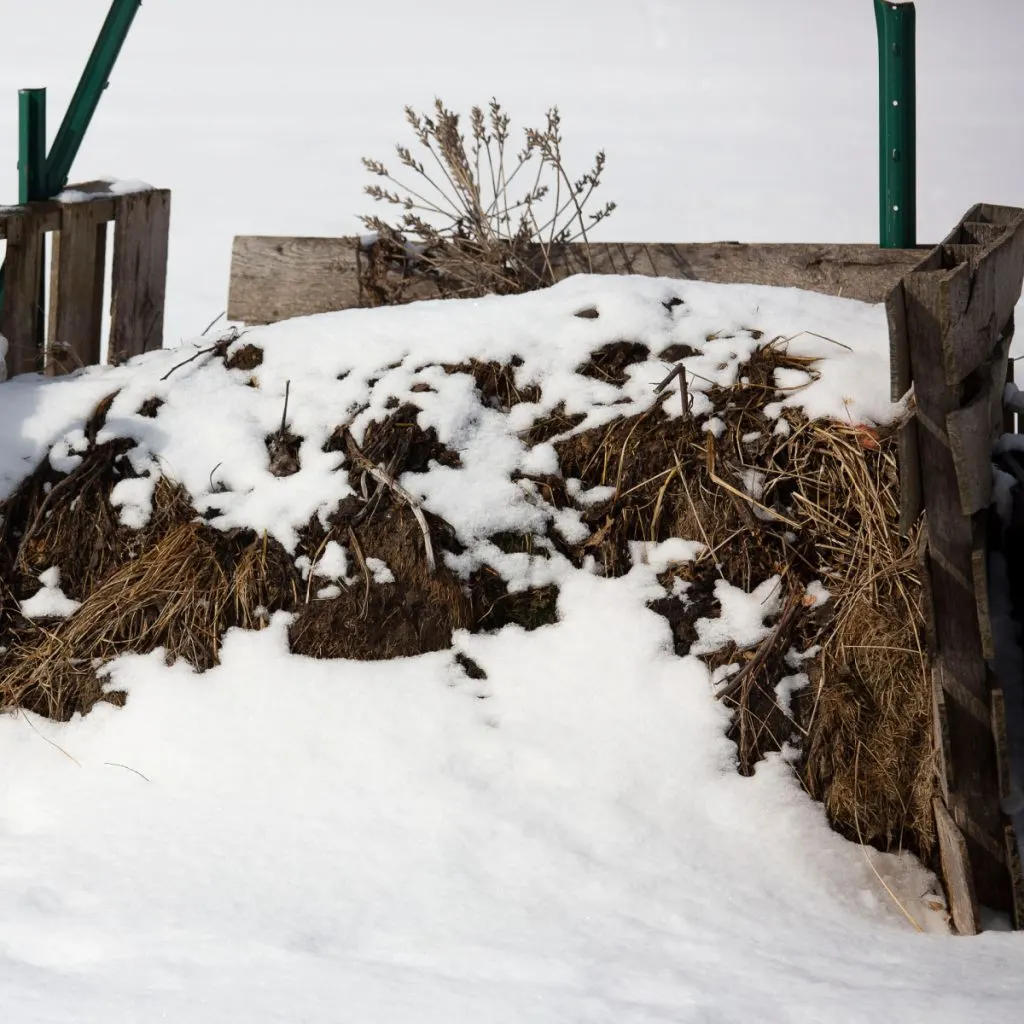keep winter compost pile going