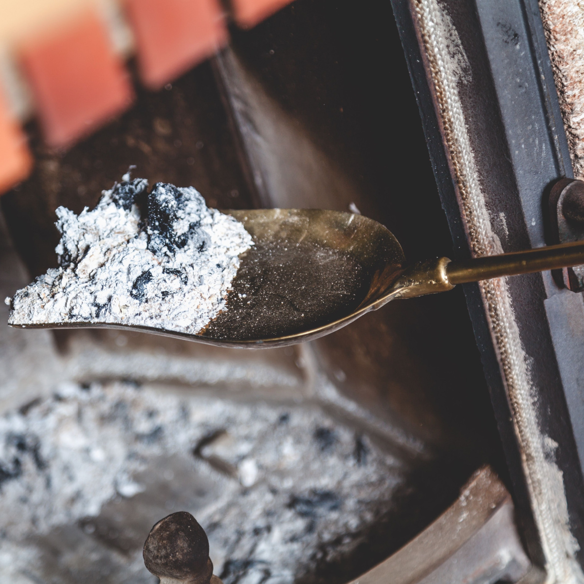 How To Recharge A Garden With Wood Ashes In Fall & Winter