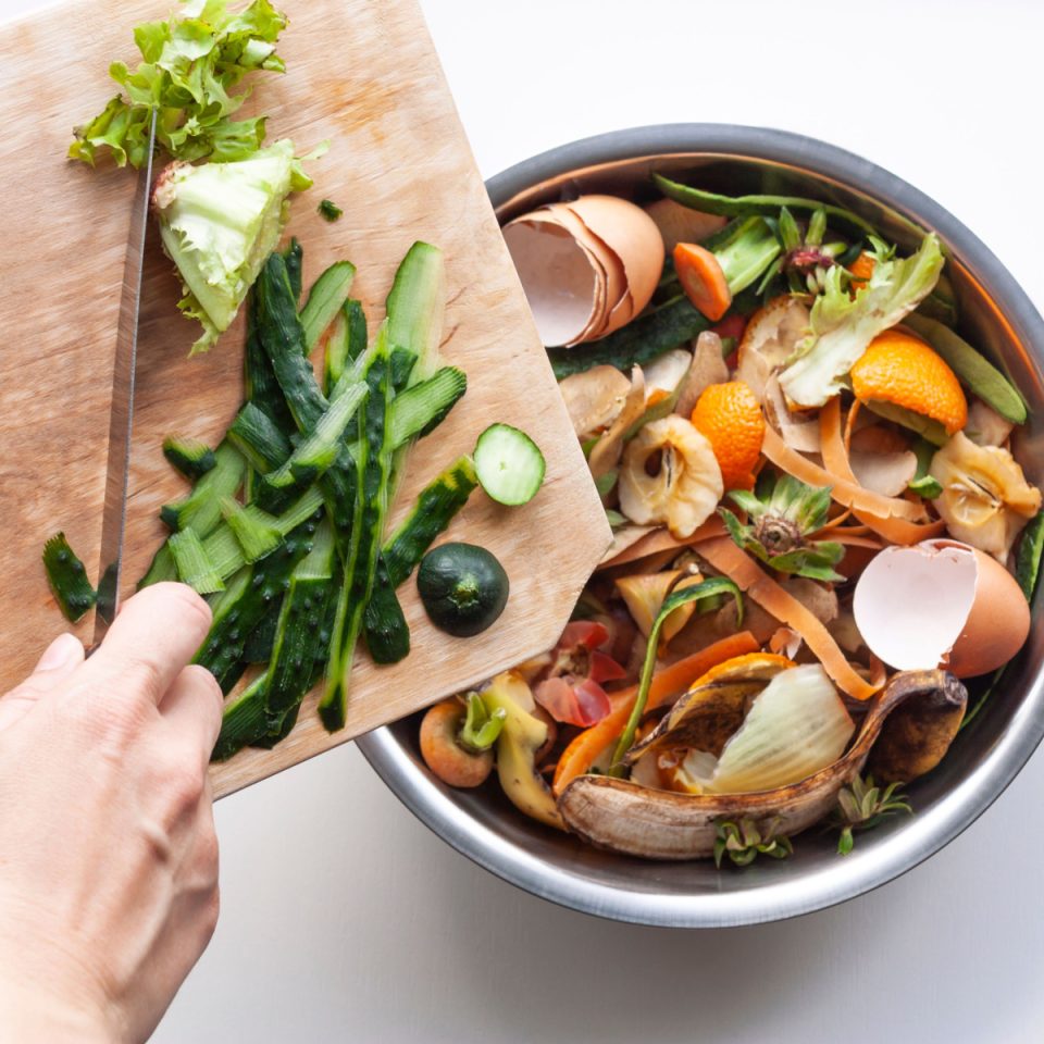 How To Compost Indoors All Winter - With An Electric Composter!