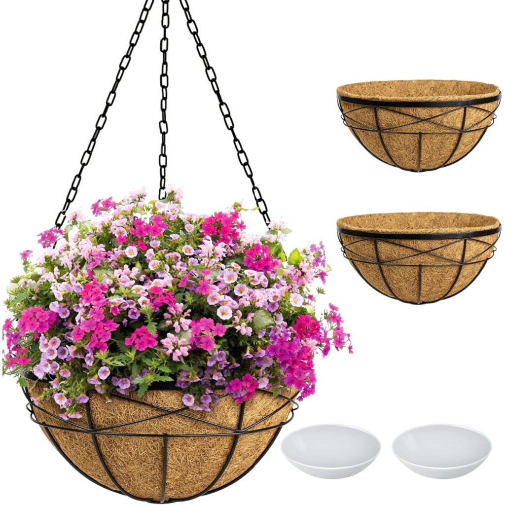 hanging baskets from seed