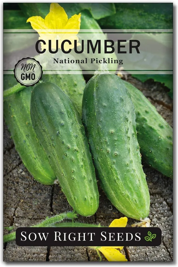 The best cucumbers to grow for pickles