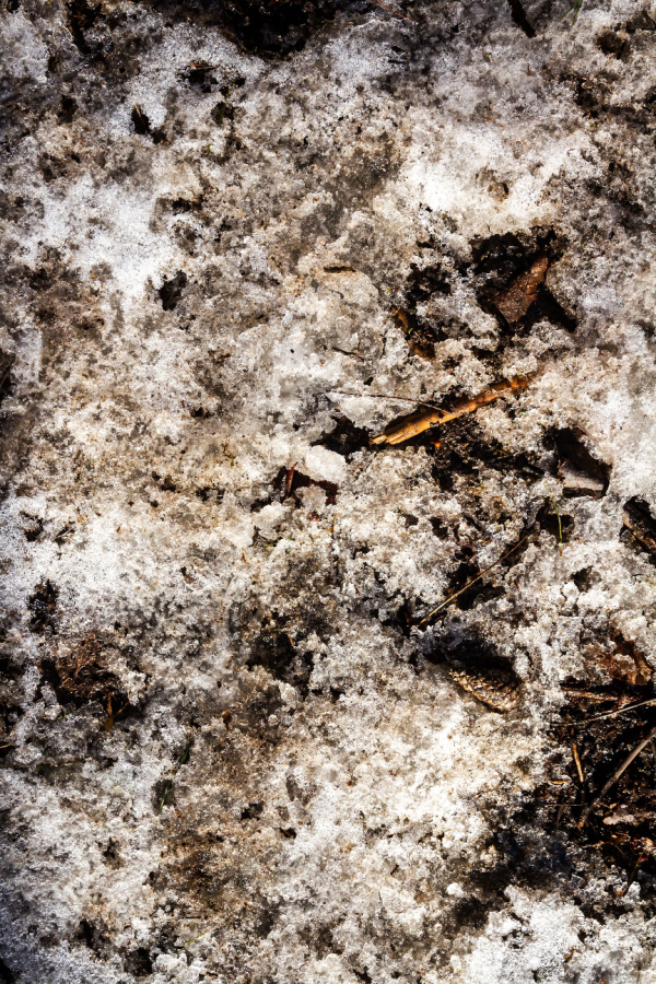 thawing soil - overseeding a lawn in winter