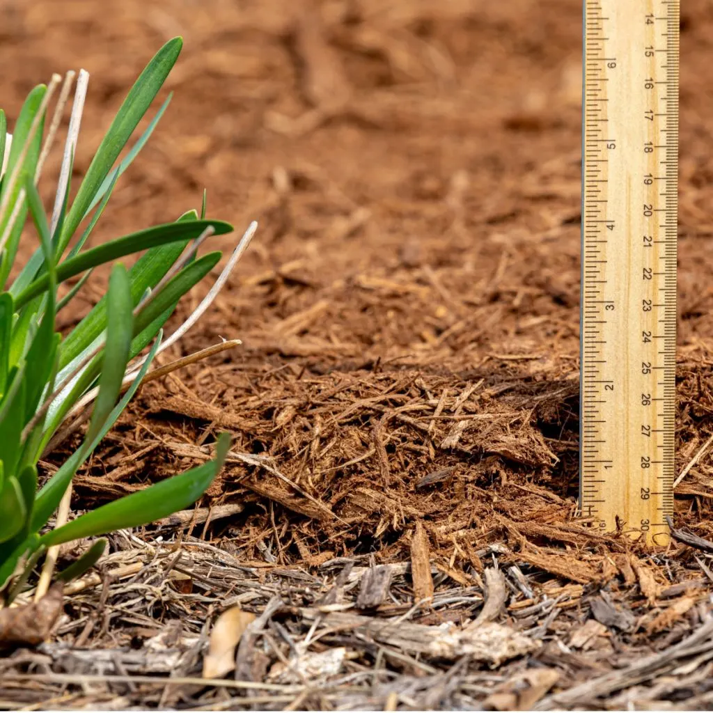 mulch depth - how to keep flowerbeds weed free