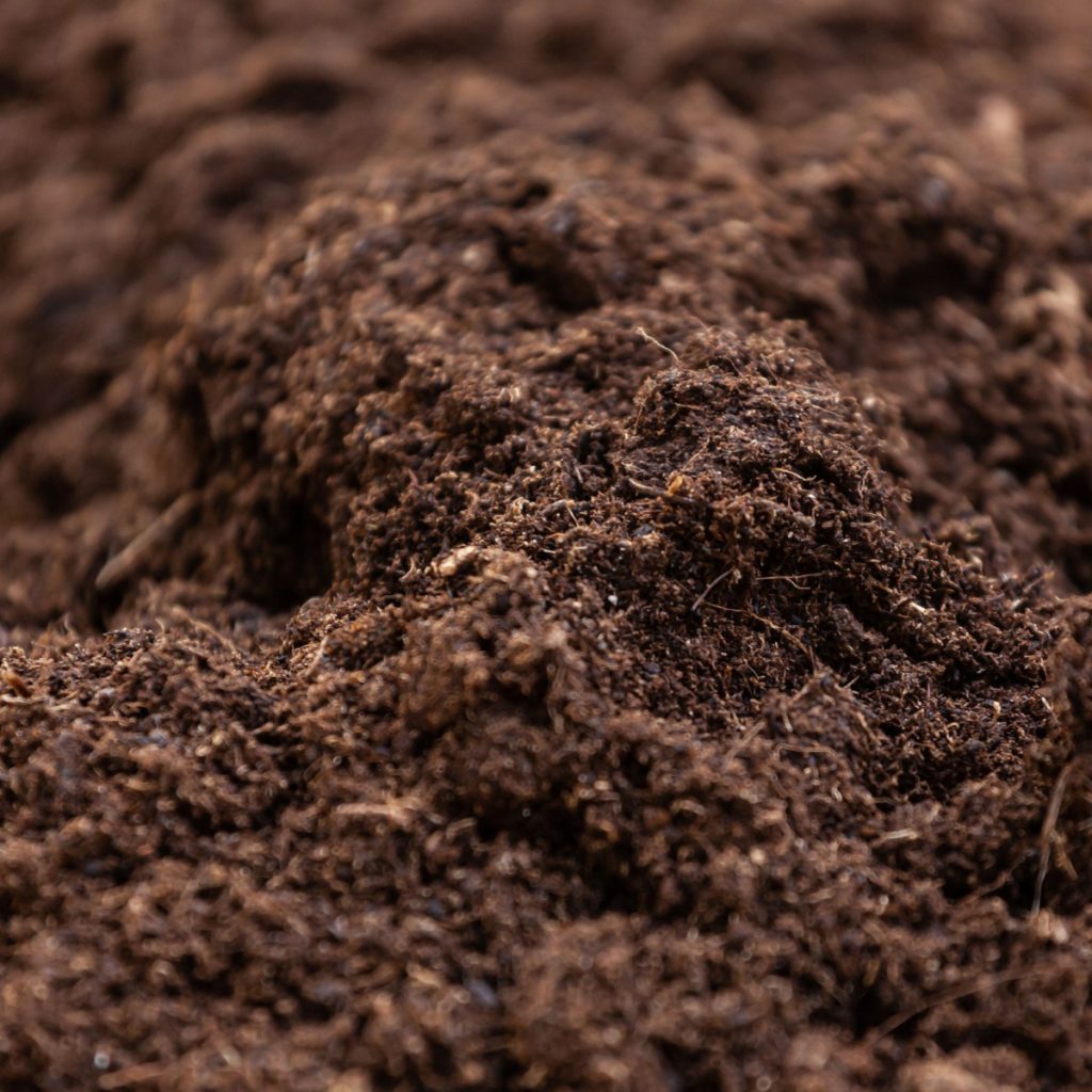 humus - soil - recharging garden soil