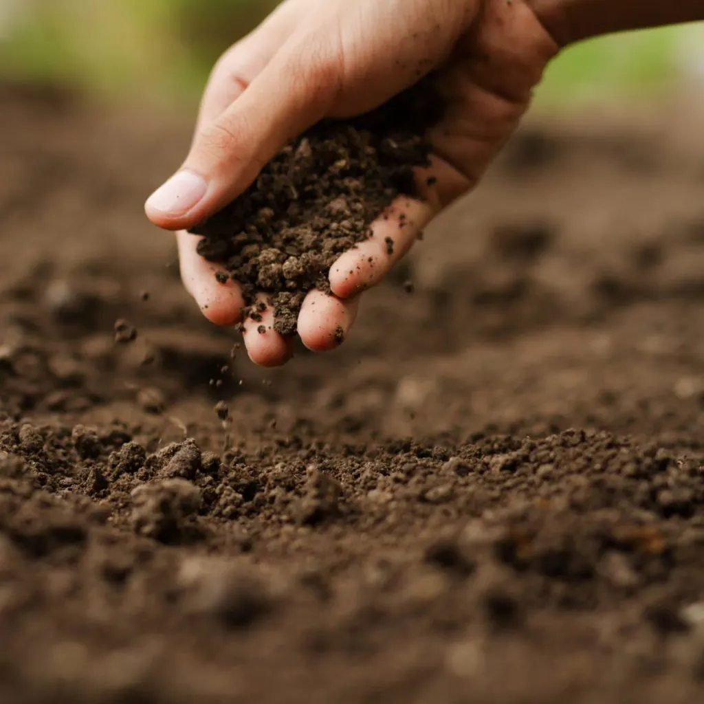 recharging garden soil