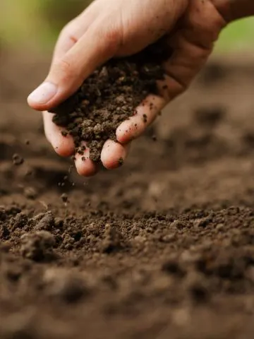 recharging garden soil