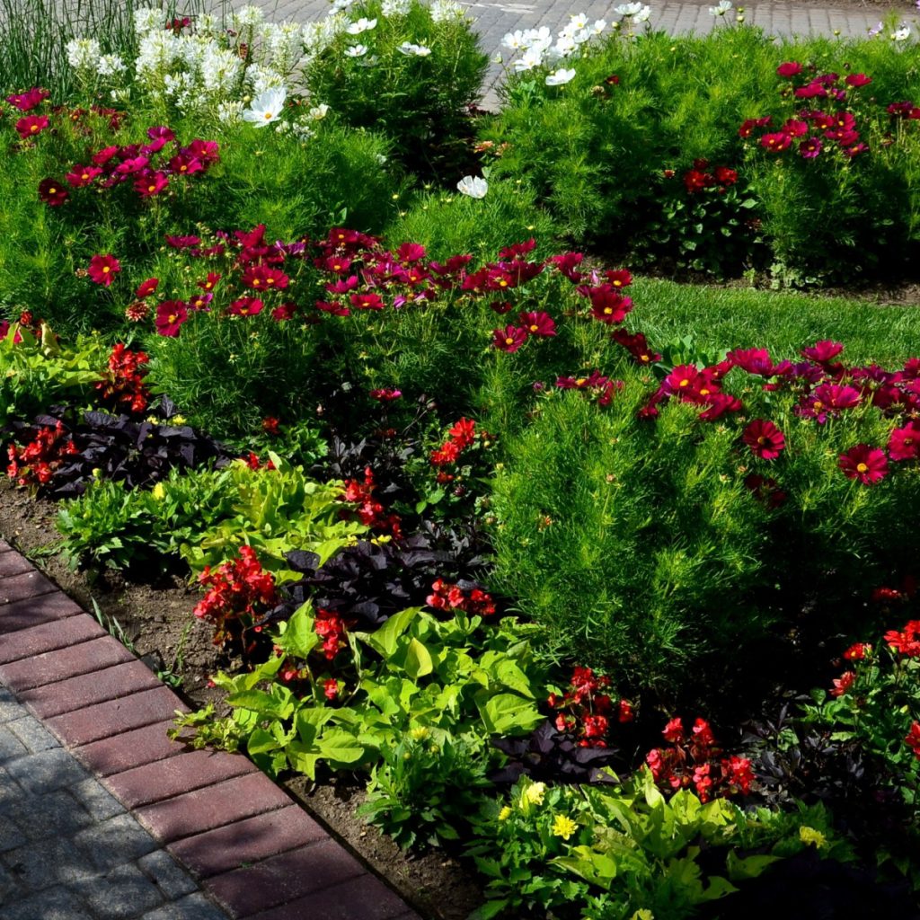 weed free flowerbeds