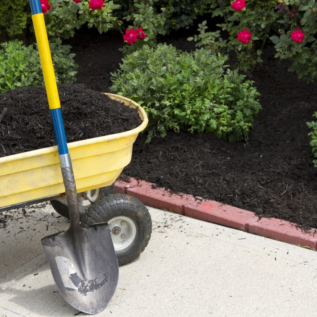 eliminate flowerbed weeds with cardboard