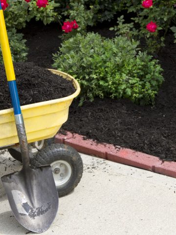 mulch in flowerbeds