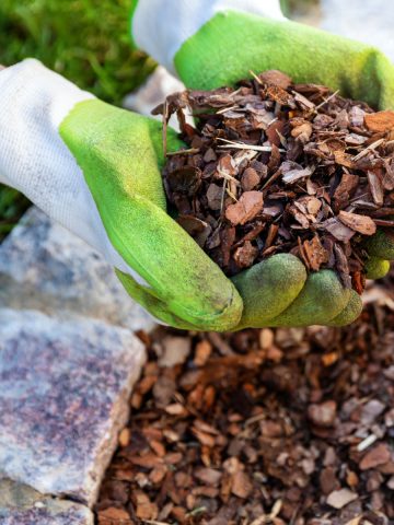 mistakes mulching