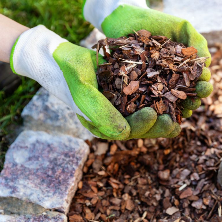 mistakes mulching