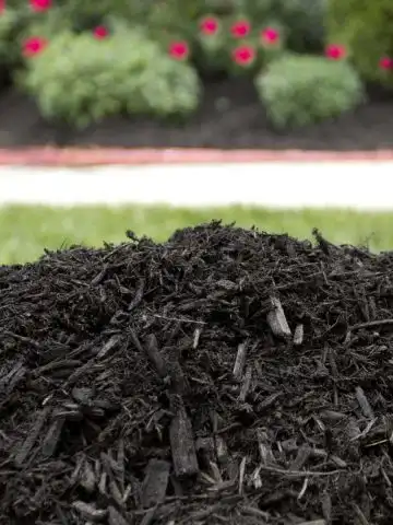 common mulching mistakes