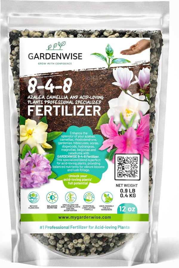 fertilizer for acid loving plants - what to do to azaleas bushes after they bloom