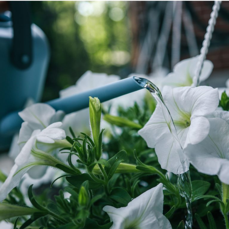 water containers - secret to success