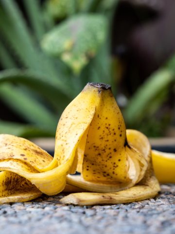 vegetable plants that love banana peels