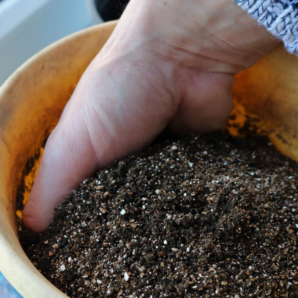 recharge old potting soil