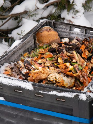 keep a winter compost pile going