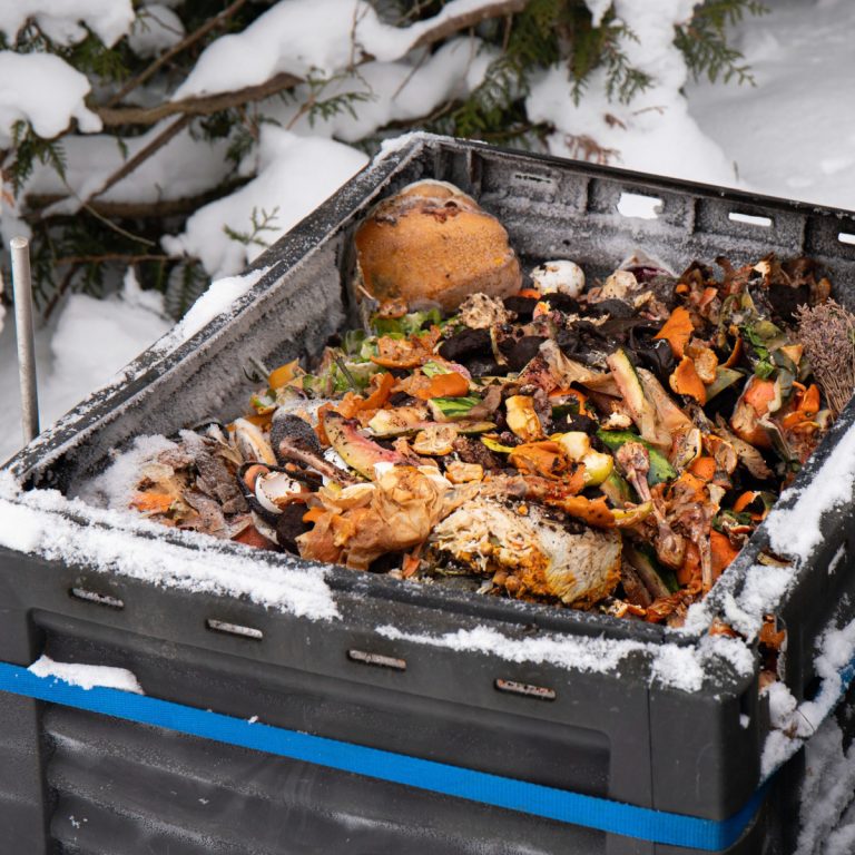keep a winter compost pile going