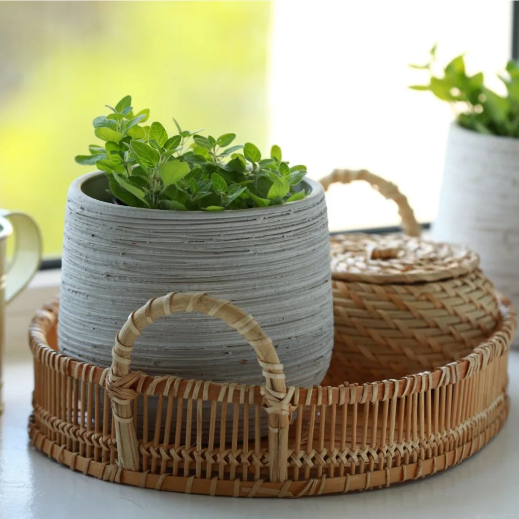 best winter herbs to grow for cooking