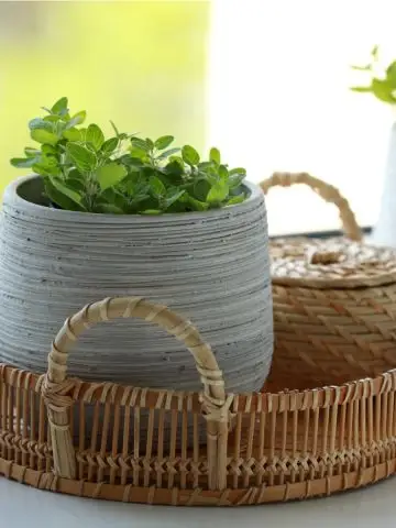 best winter herbs to grow for cooking