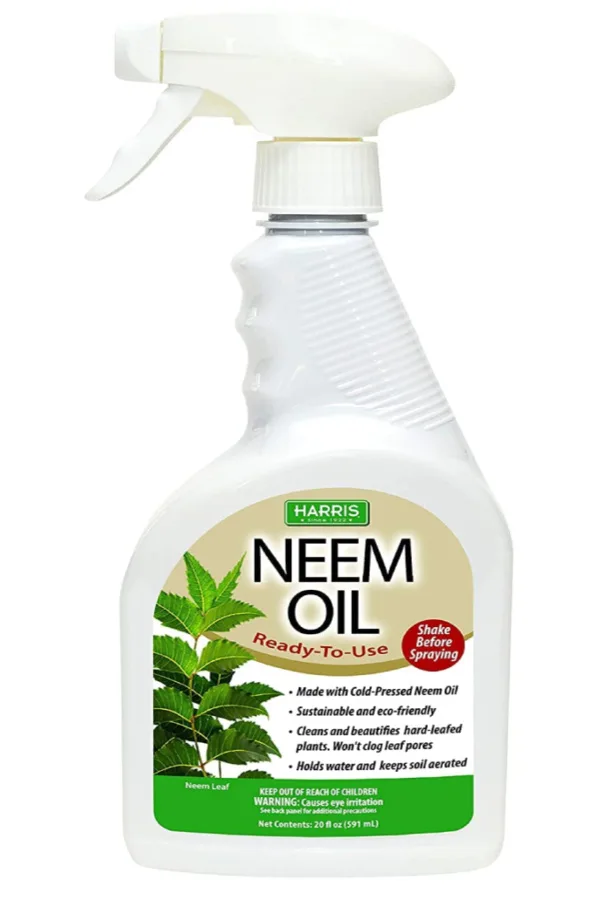 neem oil spray