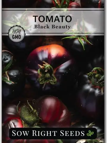 grow black beauty tomatoes