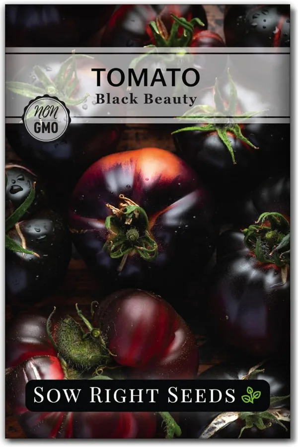 grow black beauty tomatoes