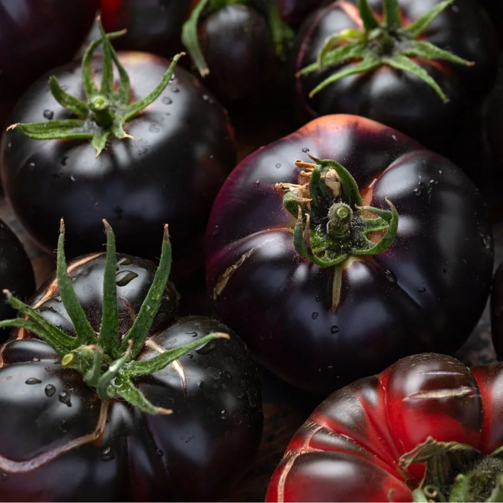 black beauty tomatoes
