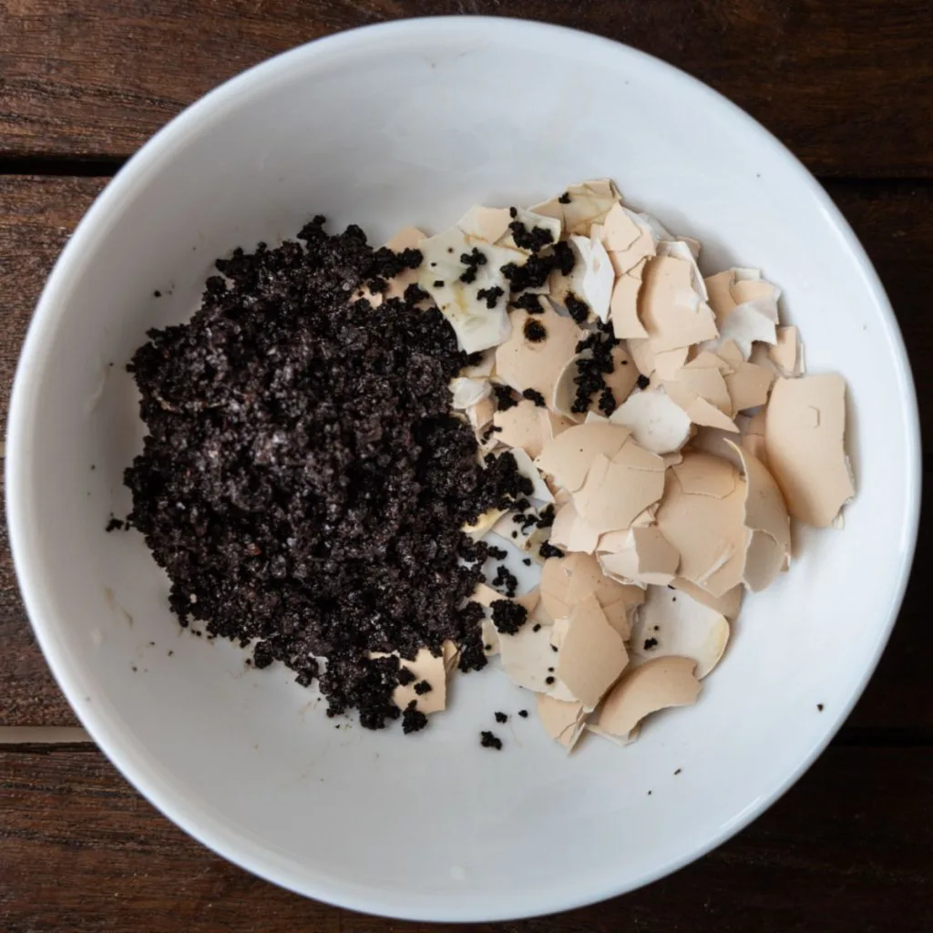 coffee grounds tomato plants and egg shells