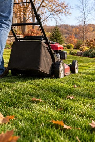 short to mow lawn for the last time before winter