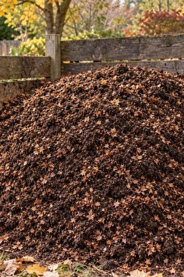 leaf compost fast